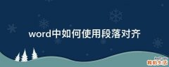 word中如何使用段落对齐
