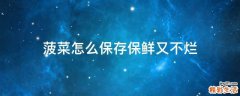 菠菜怎么保存保鲜又不烂