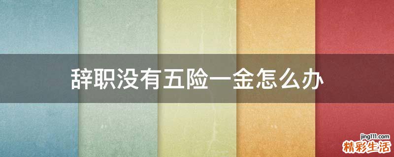 辞职没有五险一金怎么办