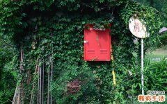 4 科学5步骤轻松挤去烦人小痘痘