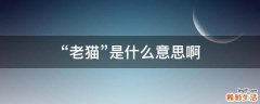 “老猫”是什么意思啊