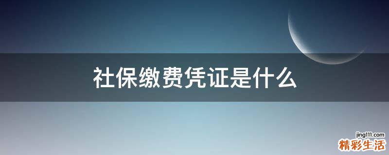 社保缴费凭证是什么