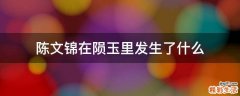 陈文锦在陨玉里发生了什么