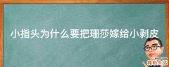 小指头为什么要把珊莎嫁给小剥皮