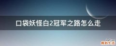 口袋妖怪白2冠军之路怎么走