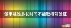 肇事逃逸多长时间不能取得驾驶证