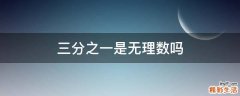 三分之一是无理数吗