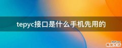 tepyc接口是什么手机先用的