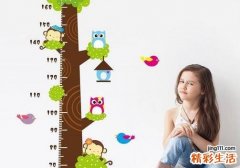 平板支撑影响长高吗