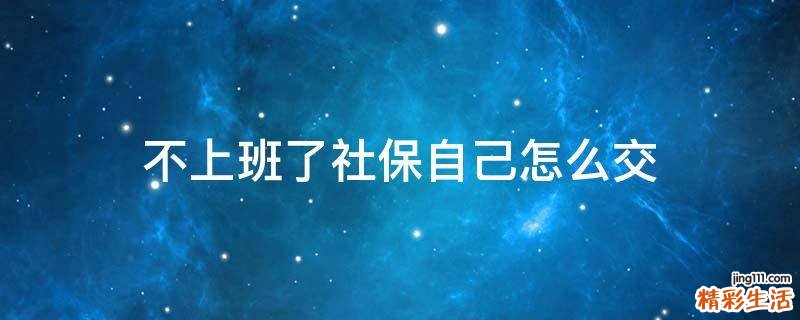 不上班了社保自己怎么交