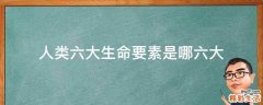 人类六大生命要素是哪六大
