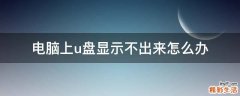 电脑上u盘显示不出来怎么办