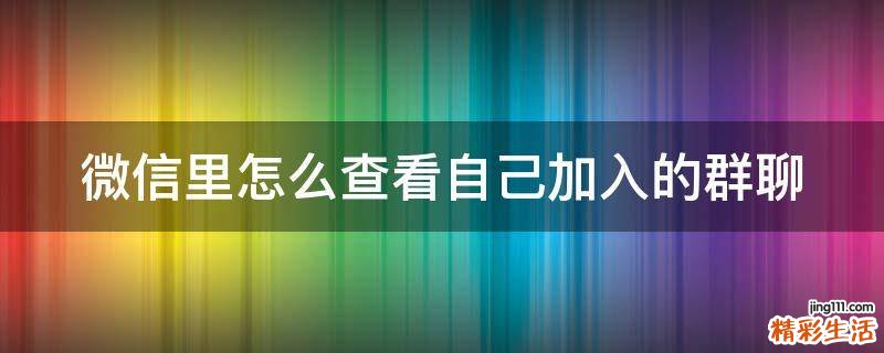 微信里怎么查看自己加入的群聊