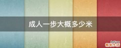 成人一步大概多少米