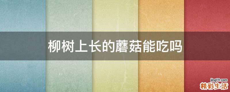 柳树上长的蘑菇能吃吗