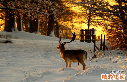 2 职场生存学问 善待自尊心