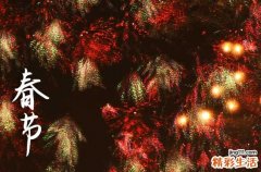 2024春节会下大雪吗 今年春节期间有大雪下吗