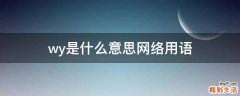 wy是什么意思网络用语