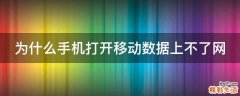 为什么手机打开移动数据上不了网