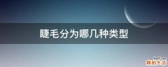 睫毛分为哪几种类型