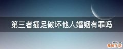 第三者插足破坏他人婚姻有罪吗