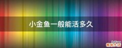 小金鱼一般能活多久