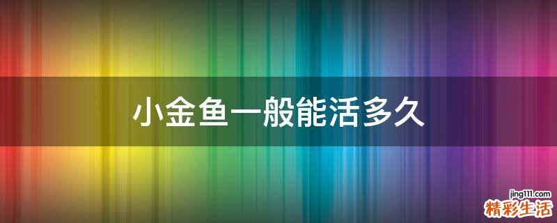小金鱼一般能活多久