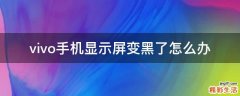vivo手机显示屏变黑了怎么办