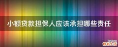 小额贷款担保人应该承担哪些责任