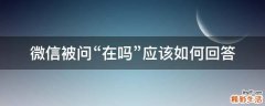 微信被问“在吗”应该如何回答
