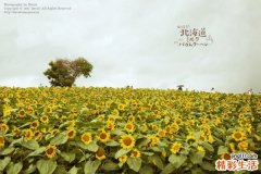 4 新春将到 将“抗痘”进行到底