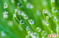 2023年白露算农历几月