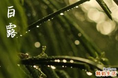 2023年白露是几点几分几秒