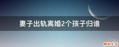 妻子出轨离婚2个孩子归谁