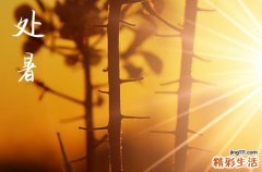 明天处暑是几点几分,2023处暑是哪天几点几分