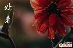 2023年处暑节气的具体时间