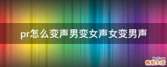 pr怎么变声男变女声女变男声