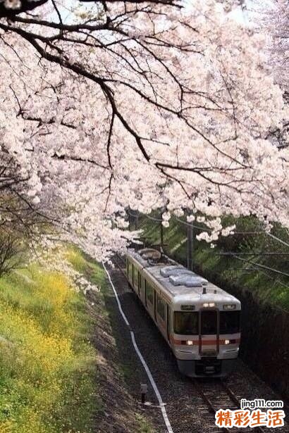 “痘肌妹”祛痘要对症下药