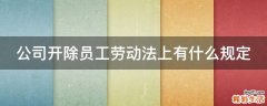 公司开除员工劳动法上有什么规定