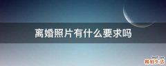 离婚照片有什么要求吗