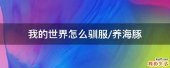 我的世界怎么驯服/养海豚
