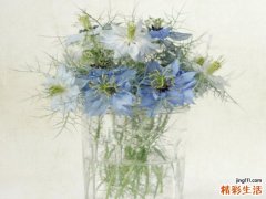 8 寒冷冬季 10大给力妙招消灭成人痘