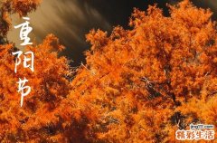 2023重阳节几月几号 2023重阳节星期几