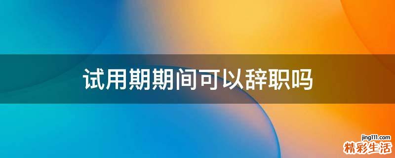 试用期期间可以辞职吗