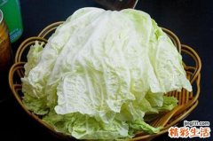 春季降火的食物 春天哪些食物对降火有帮助