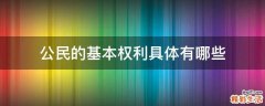 公民的基本权利具体有哪些