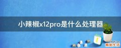 小辣椒x12pro是什么处理器