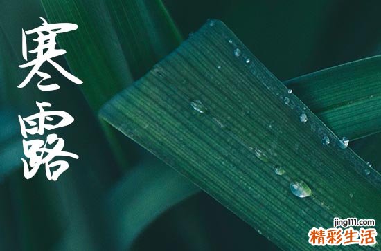 寒露发朋友圈的句子