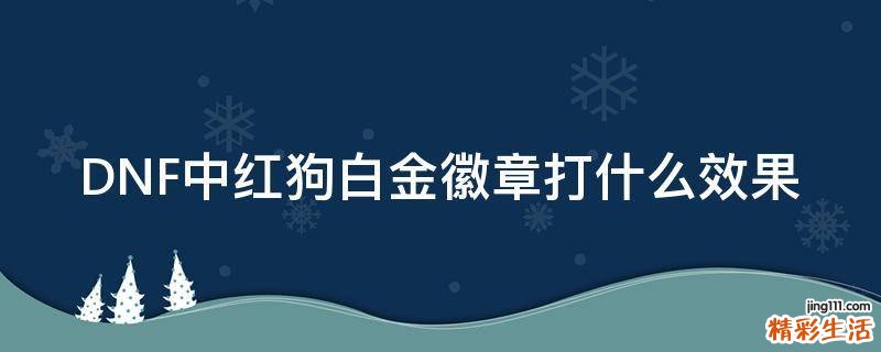 DNF中红狗白金徽章打什么效果