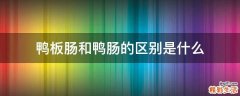 鸭板肠和鸭肠的区别是什么
